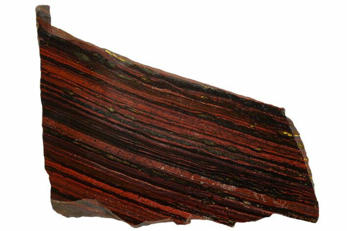 Polished Tiger Iron Stromatolite - Billion Years #129350